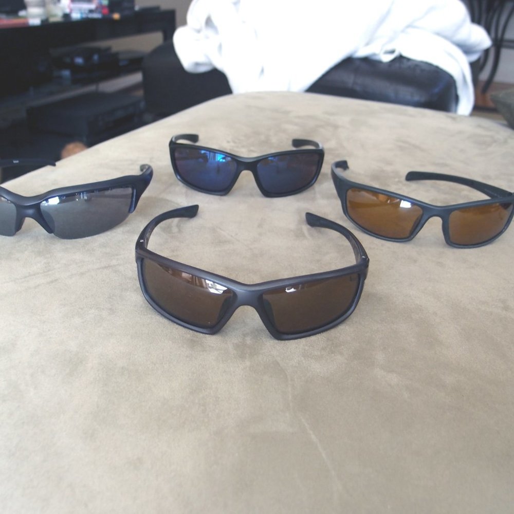 - 4 pairs of sunglasses_ +2 bonus pair